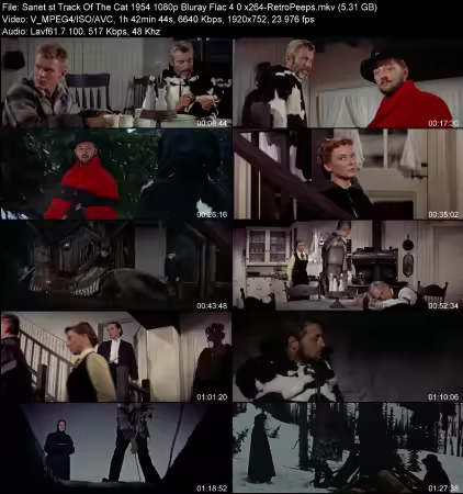 Track Of The Cat 1954 1080p Bluray Flac 4.0 x264-RetroPeeps