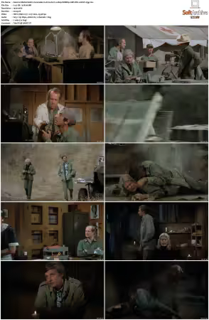 M.A.S.H. S01-S11 1080p WEBRip 10Bit DD2.0 HEVC-d3g