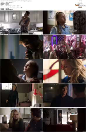 Nashville S04 1080p WEBRip 10Bit DDP5.1 HEVC-d3g