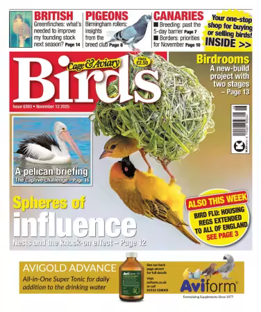 Cage &amp; Aviary Birds - November 12, 2025