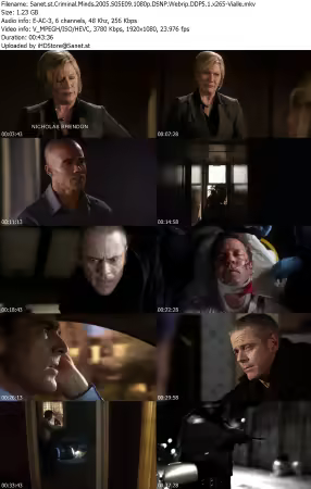 Criminal Minds 2005 S05E09 1080p DSNP Webrip DDP5 1 x265-Vialle