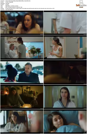 Hjem til jul S01 S02 1080p WEB-DL DDP5.1 x264-FuNFx