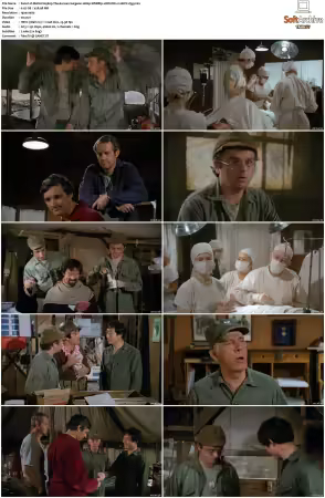 M.A.S.H. S01-S11 1080p WEBRip 10Bit DD2.0 HEVC-d3g