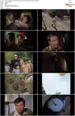 Baa Baa Black Sheep S01 1080p BluRay 10Bit DDP2.0 HEVC-d3g