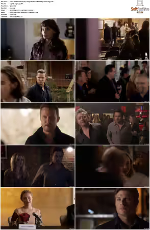 Nashville S04 1080p WEBRip 10Bit DDP5.1 HEVC-d3g