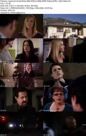 Criminal Minds 2005 S05E13 1080p DSNP Webrip DDP5 1 x265-Vialle