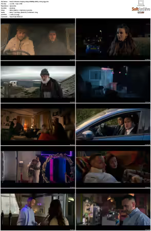 Brassic S03 1080p WEBRip DDP5.1 H265-d3g