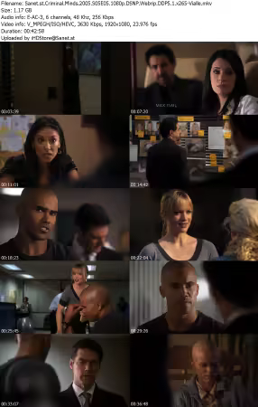 Criminal Minds 2005 S05E05 1080p DSNP Webrip DDP5 1 x265-Vialle