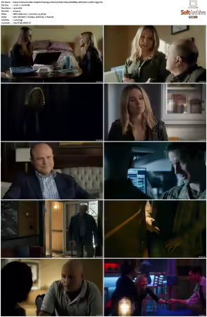 Veronica Mars S04 1080p WEBRip 10Bit AAC2.0 HEVC-d3g