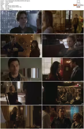 Nashville S02 1080p WEBRip 10Bit DDP5.1 HEVC-d3g
