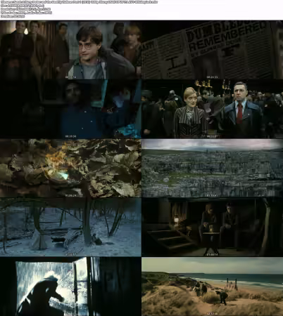 Harry Potter and the Deathly Hallows Part 1 2010 1080p Bluray DS4K OPUS 7.1 AV1-WhiskeyJack