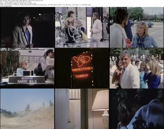 Beverly Hills Cowgirl Blues 1985 WEB-DL H264-Lutto