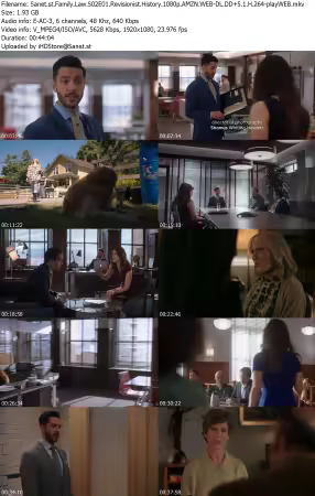 Family Law S02E01 Revisionist History 1080p AMZN WEB-DL DD+5 1 H 264-playWEB