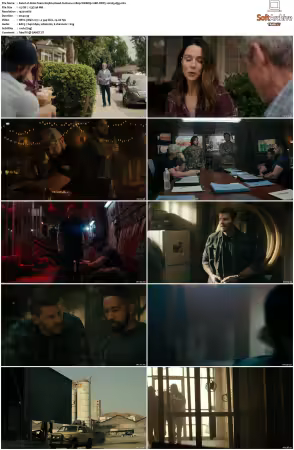 Seal Team S05 1080p WEBRip 10Bit DDP5.10 H265-d3g