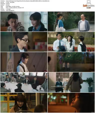 Shining For One Thing S01 1080p AMZN WEB-DL DDP2.0 H264-WADU