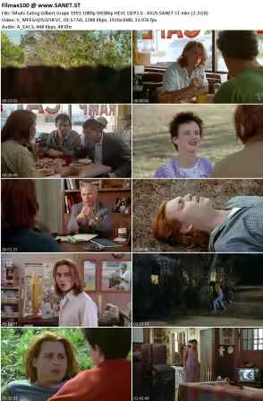 Whats Eating Gilbert Grape 1993 1080p WEBRip HEVC DDP2.0 - ASUS