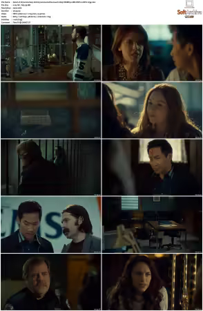 Wynonna Earp S02 1080p WEBRip 10Bit DDP2.0 HEVC-d3g
