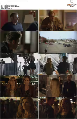 Nashville S02 1080p WEBRip 10Bit DDP5.1 HEVC-d3g