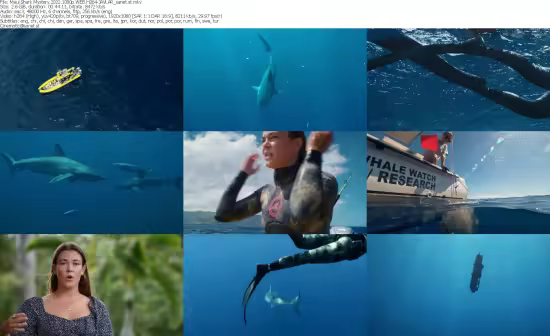 Maui Shark Mystery 2022 1080p WEB H264-JAVLAR