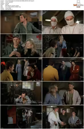 M.A.S.H. S01-S11 1080p WEBRip 10Bit DD2.0 HEVC-d3g
