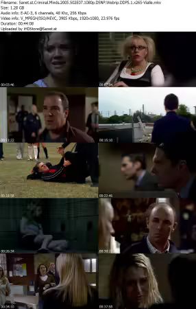 Criminal Minds 2005 S02E07 1080p DSNP Webrip DDP5 1 x265-Vialle