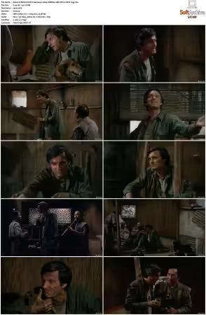 M.A.S.H S04 1080p WEBRip 10Bit DD2.0 HEVC-d3g