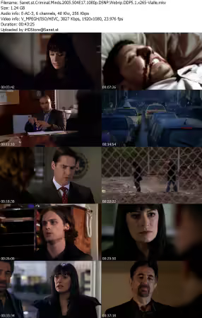 Criminal Minds 2005 S04E17 1080p DSNP Webrip DDP5 1 x265-Vialle