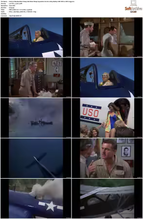 Black Sheep Squadron aka Baa Baa Black Sheep S02 1080p BluRay 10Bit DDP2 0 HEVC-d3g