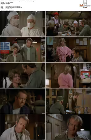 M.A.S.H. S01-S11 1080p WEBRip 10Bit DD2.0 HEVC-d3g