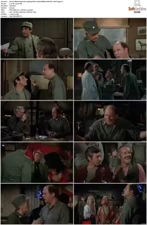 M.A.S.H. S01-S11 1080p WEBRip 10Bit DD2.0 HEVC-d3g