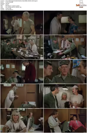 M.A.S.H. S01-S11 1080p WEBRip 10Bit DD2.0 HEVC-d3g