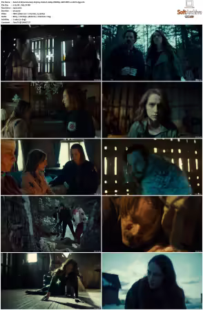 Wynonna Earp S03 1080p WEBRip 10Bit DDP2.0 HEVC-d3g