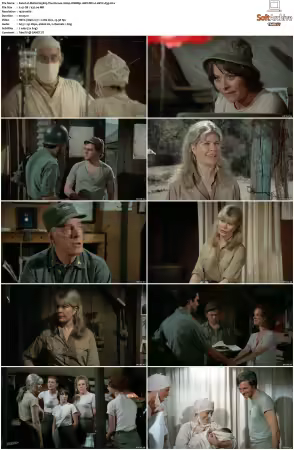 M.A.S.H S05 1080p WEBRip 10Bit DD2.0 HEVC-d3g