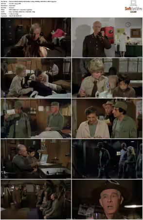 M.A.S.H. S01-S11 1080p WEBRip 10Bit DD2.0 HEVC-d3g