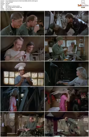 M.A.S.H S07 1080p WEBRip 10Bit DD2.0 HEVC-d3g