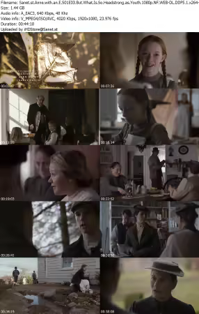 Anne with an E S01E03 1080p NF WEB-DL DDP5 1 x264-CasStudio