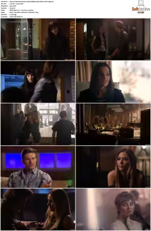 Nashville S04 1080p WEBRip 10Bit DDP5.1 HEVC-d3g