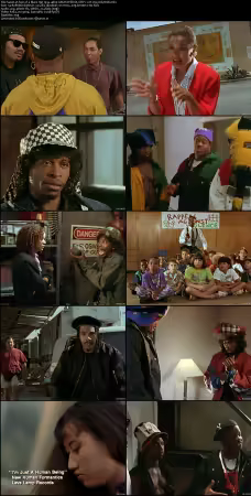 Fear of a Black Hat 1994 480p AMZN WEB-DL DDP 2.0 H264-OnlyWeb