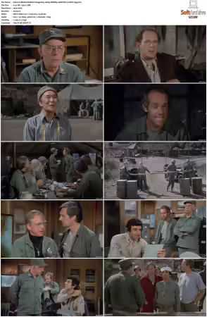 M.A.S.H. S01-S11 1080p WEBRip 10Bit DD2.0 HEVC-d3g