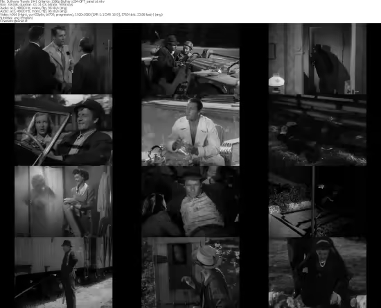 Sullivan's Travels 1941 Criterion 1080p BluRay x264-OFT