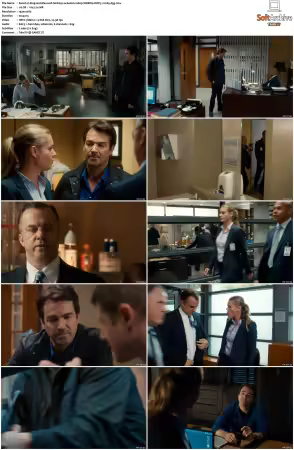 King and Maxwell S01 1080p WEBRip DDP5.1 H265-d3g
