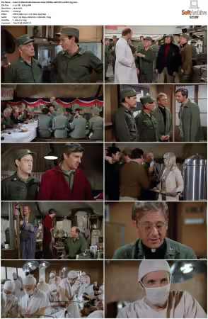 M.A.S.H S10 1080p WEBRip 10Bit DD2 0 HEVC-d3g