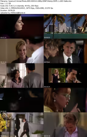 Criminal Minds 2005 S05E14 1080p DSNP Webrip DDP5 1 x265-Vialle
