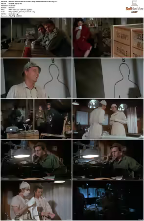 M.A.S.H S02 1080p WEBRip 10Bit DD2.0 HEVC-d3g