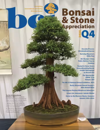 BCI Bonsai &amp; Stone Appreciation Magazine - Volume 64 Number 4 Q4 2025
