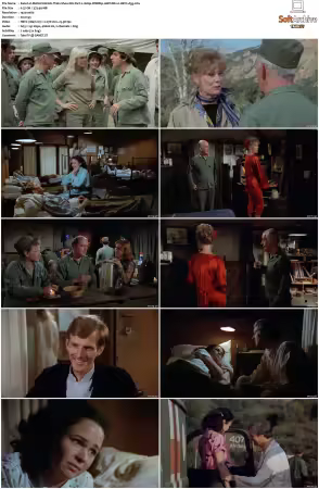 M.A.S.H. S01-S11 1080p WEBRip 10Bit DD2.0 HEVC-d3g