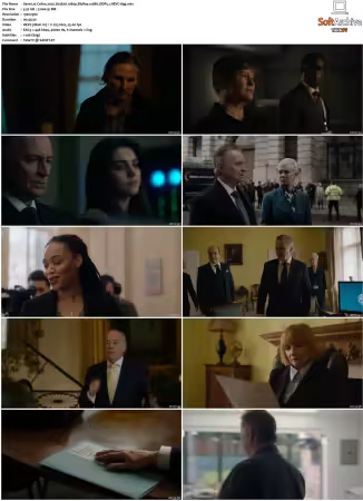 Cobra 2020 S03 1080p BluRay 10Bit DDP5.1 HEVC-d3g