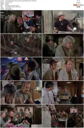 M.A.S.H. S01-S11 1080p WEBRip 10Bit DD2.0 HEVC-d3g