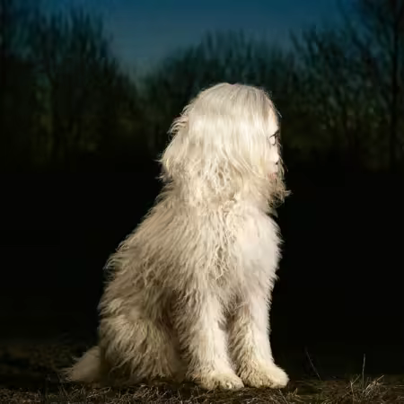 Juana Molina - DOGA (2025) (Hi-Res) FLAC/MP3