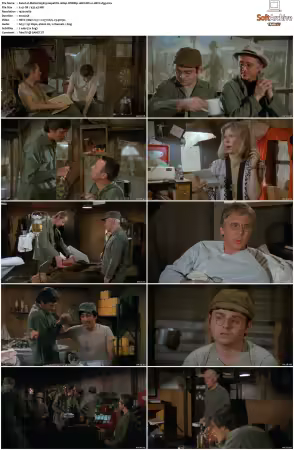 M.A.S.H S05 1080p WEBRip 10Bit DD2.0 HEVC-d3g